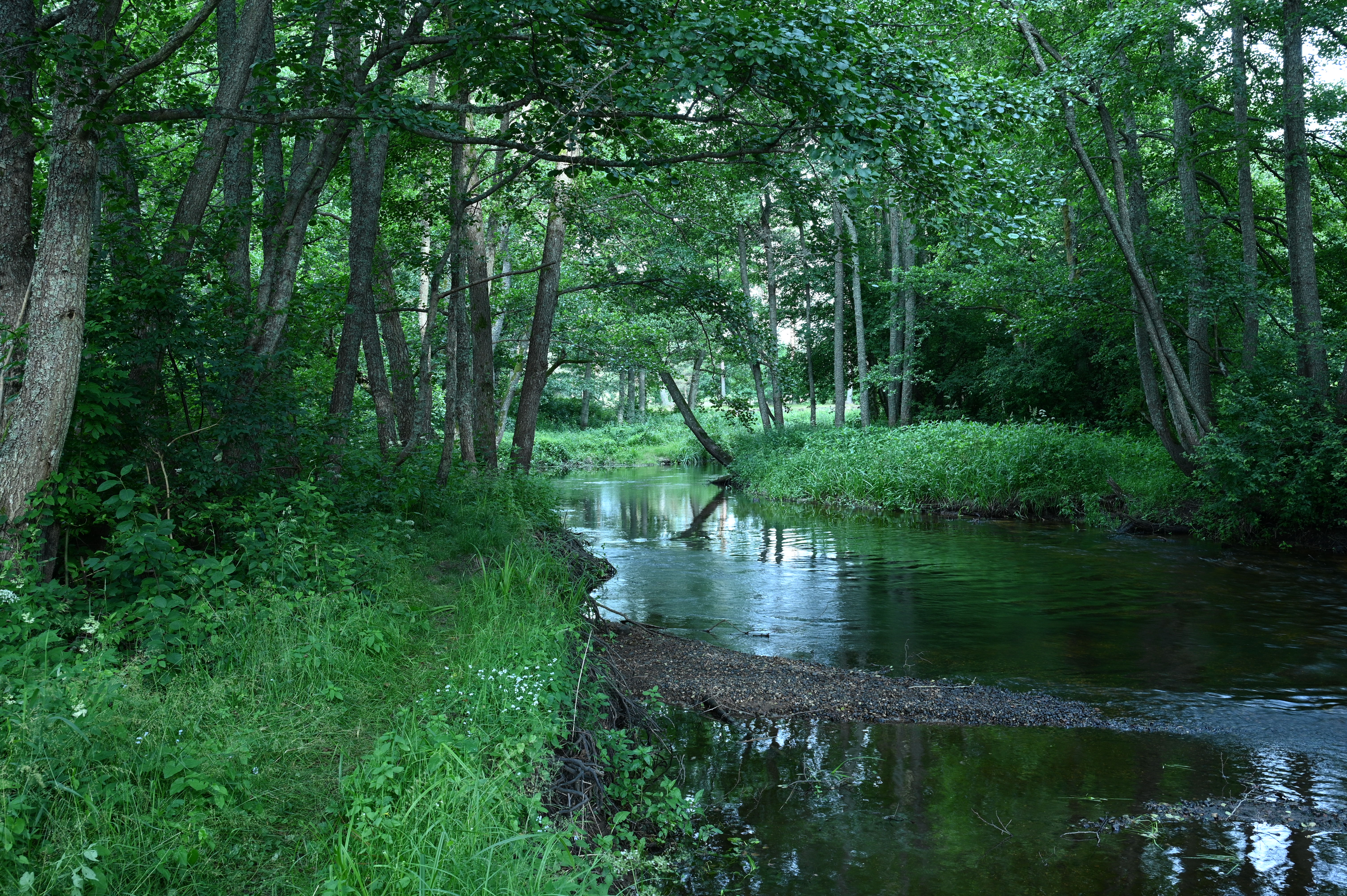 2025/07/09-14 - trip/DSC_0044.JPG